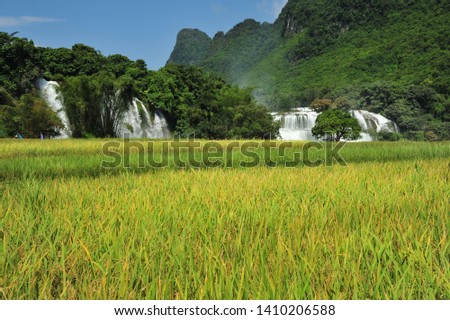 Ban Gioc waterfall and Rice field in Cao Bang, Vietnam. Du lịch Việt Nam. 越南旅游. Turismo Vietnamita. वियतनाम पर्यटन. Travel Vietnam 베트남 관광, ベトナム観光, ឌូលីច វៀតណាម 