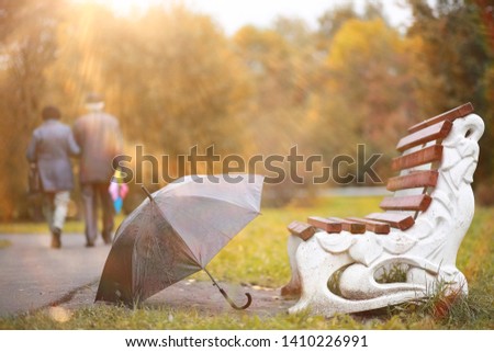 Autumn rain in the park during the day