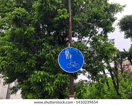 An image of road sign in Japan with green background. This blue sign means for bicycle and pedestrian only.