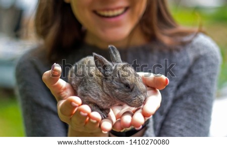 little grey rabbit in the hands of a happy girl
