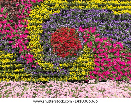 Decorative colorful flower wall background