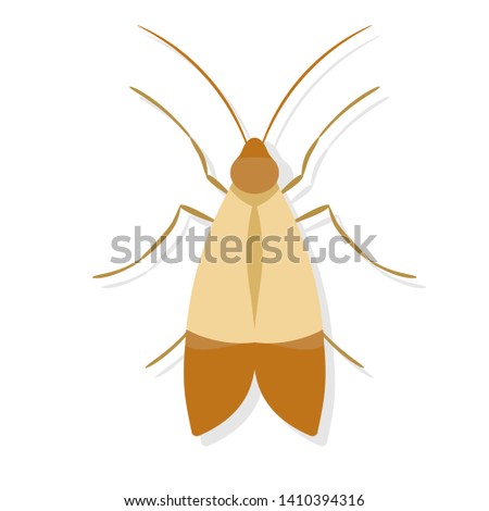 Meal moth. Pest control clip art isolated on white background