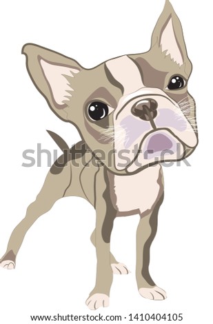 Illustration of cute puppy on white background