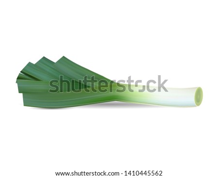Onion leek. Ripe green vegetable. Natural food. Organic product for salad. Isolated white background. Eps10 vector illustration. Royalty-Free Stock Photo #1410445562