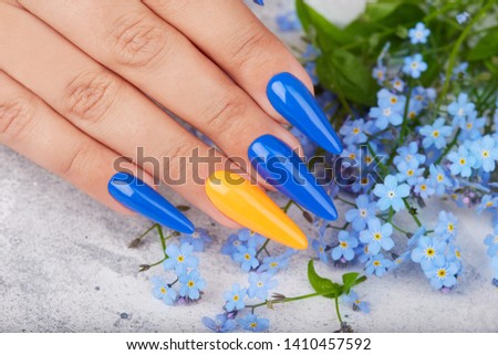 Hand with long artificial manicured nails colored with blue and orange nail polish and blue forget me not flowers