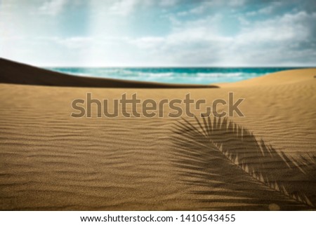 Summer background of sand on beach and shadow of palm leaves. Free space for your decoration. 