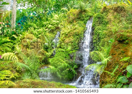 Beautiful green nature and waterfall wallpaper background