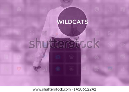 WILDCATS - technology and business concept