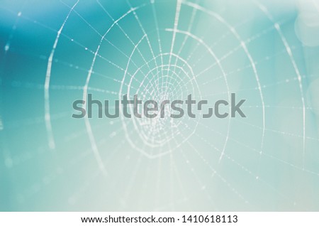 The picturesque spiral of a spiderweb. Small drops of morning dew glisten in the rays of the rising sun like precious stones. Low depth of field. Most of the frame is picturesquely blurred.