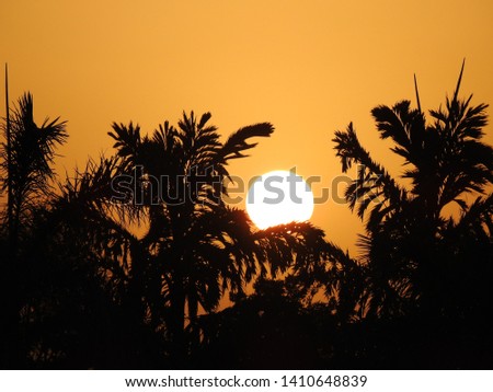 A summer day at Ishwarya park Rajkot Royalty-Free Stock Photo #1410648839