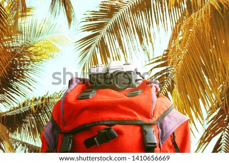 Camera lay on red backpack with background coconut tree on the beach, vintage theme.