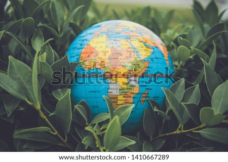 Environment concept, a globe on the grass.