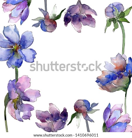 Violet cosmos flower floral botanical flowers. Wild spring leaf wildflower isolated. Watercolor background illustration set. Watercolour drawing fashion aquarelle. Frame border ornament square.