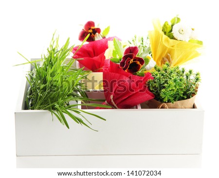 Beautiful spring flowers and grass in wooden crate isolated on white