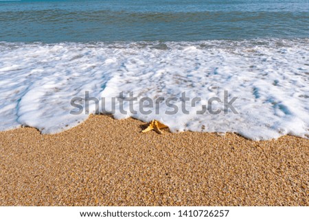 Beach and sea with azure water, summer relax