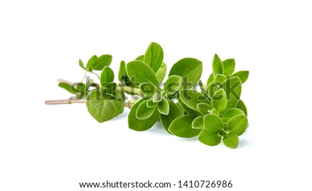 Oregano or marjoram leaves isolated on white background  Royalty-Free Stock Photo #1410726986
