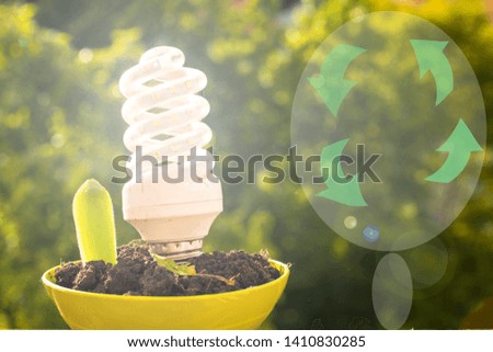 A hand holding a light bulb, save energy concept. Creative ideas concept, light bulb for new idea