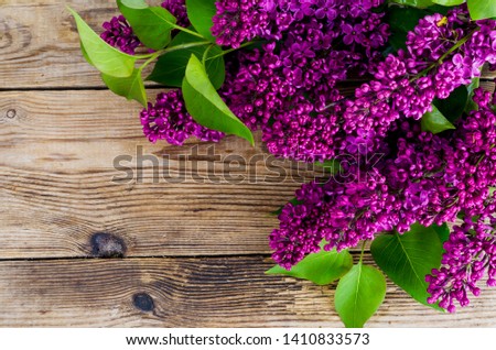 Beautiful lilac on old vintage wooden background. Studio Photo
