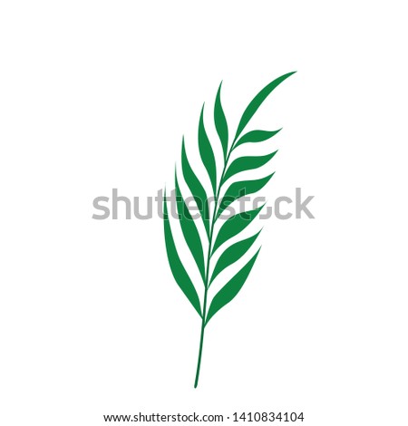 Vector tropical  leaves on white background. Quality watercolor imitation. Not trace. - Vector