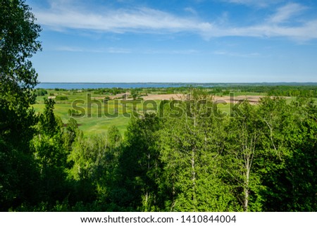 endless forests in summer dayat countryside from above with tree branches and slight mist