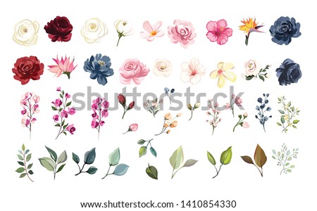 Set of floral elements. Flower red, burgundy, navy blue rose, green leaves. Wedding concept - flowers. Floral poster, invite. Vector arrangements for greeting card or invitation design Royalty-Free Stock Photo #1410854330