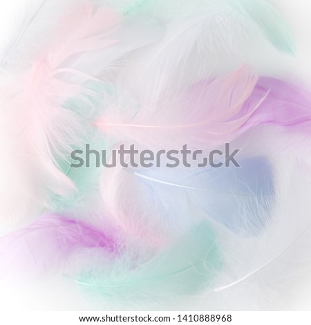 Abstract feather rainbow patchwork background. Closeup image. Fashion Color Trends.
