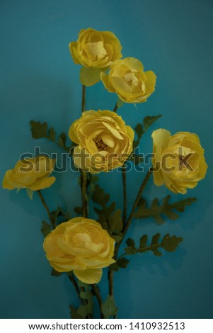 yellow flowers in blue background