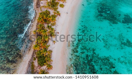 Tropical white sandbar in the middle of the Caribbean Sea, exotic deserted island in the ocean with green palm trees, surrounded by coral reef and turqoise water, Sandy Island in Carriacou, Grenada