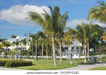 White Homes Behind Green Palm Trees Under a Partly Cloudy Sky
