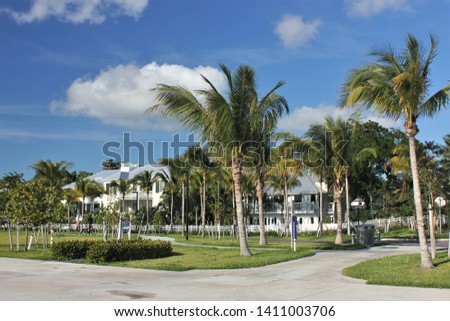 Across the Street View of Two White Homes Behind Palm Trees