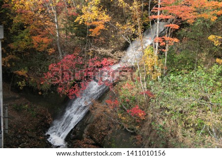 water fall and autumn leave  (Picture from water fall called  Sandannotaki in Eniwa City