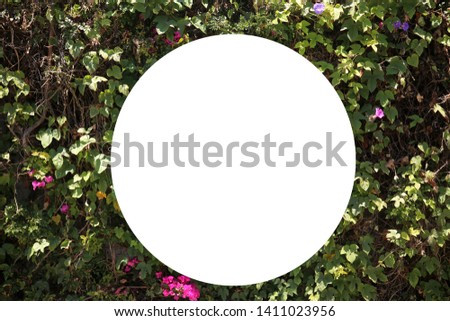 Flower Wall. Wall of flowers with a hole in the center. Flower wall frame.  Room for text. Room for images.

