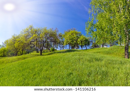 Green background grass, tree and sunburst