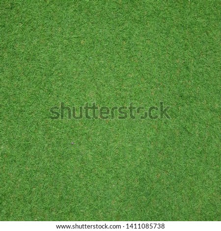 Artificial green grass carpet forming a seamless abstract pattern with natural look