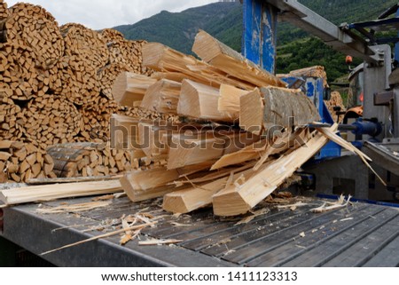 Pile of chopped firewood prepared for winter