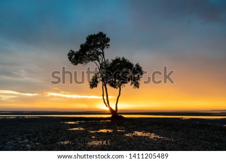 Sun rise in Beachmere, Queensland