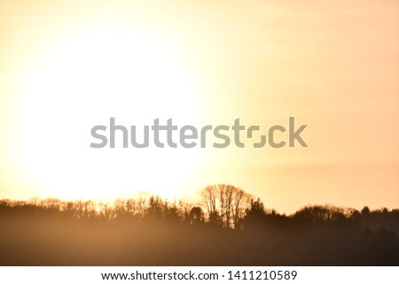 sunset in the forest, photo as a background