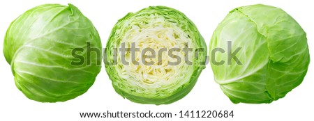 Cannonball cabbage set isolated on white background. Package design elements with clipping path Royalty-Free Stock Photo #1411220684