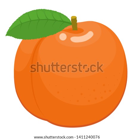 Orange peach with green leaf. Ripe fruit. Vector illustration