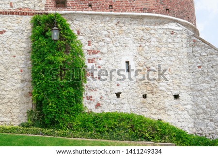 vintage lamp post covered with green winding plant at the Wawel Castle