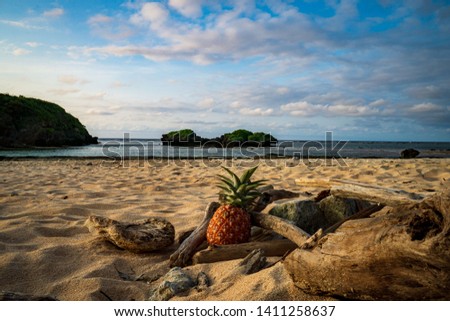 Pineapple and a view on star sand beach in iriomote-ishigaki national park