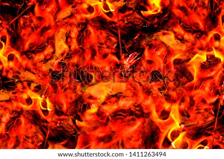 Closeup shot of burning fire with hot red embers in it, selective focus