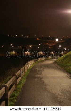 Pedestrian path in a park from Bilbao at night