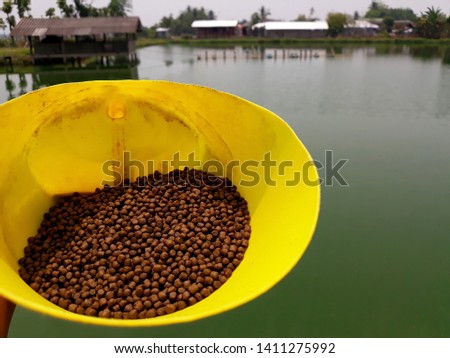 this pic show pellets fish feed at pond aquaculture on feeding time