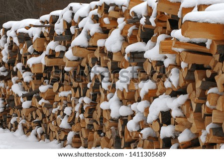 Complex pieces of firewood covered with snow on a forest road
