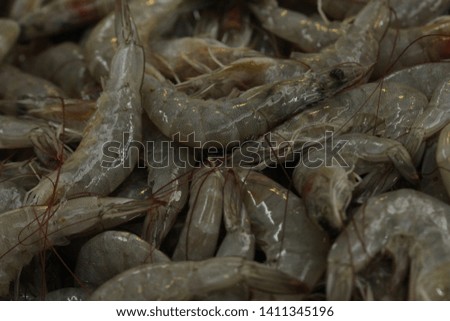 raw shrimp at the sea food market