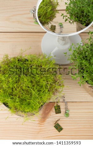 Beauty and fashion trends - gold and silver earrings, decoration, jewelry, mirror and reflection with grass/plant on wooden table. Vertical photo
