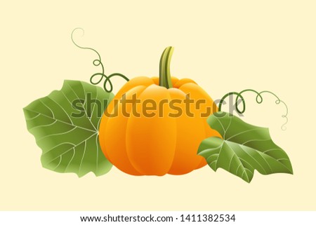 Ripe orange pumpkin with leaves and tendrils isolated on light yellow background. Vector illustration