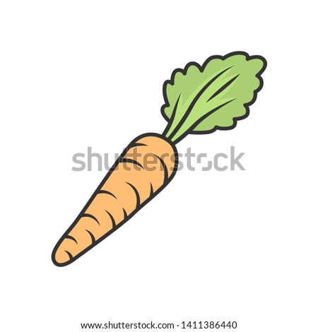 Carrot color icon. Agriculture plant. Salad ingredient. Vegetable farm. Vitamin. Vegetarian and vegan nutrition. Organic food. Healthy food. Soup and diet. Greenery. Isolated vector illustration