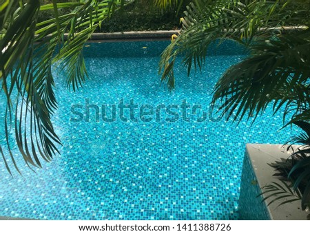 Blue water pool with palm trees leafs